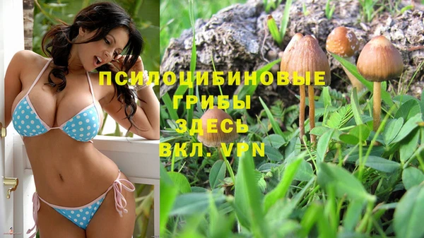 MESCALINE Аркадак